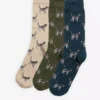 Pointer Dog Socks Gift Box Pointer Dog Socks Gift Box