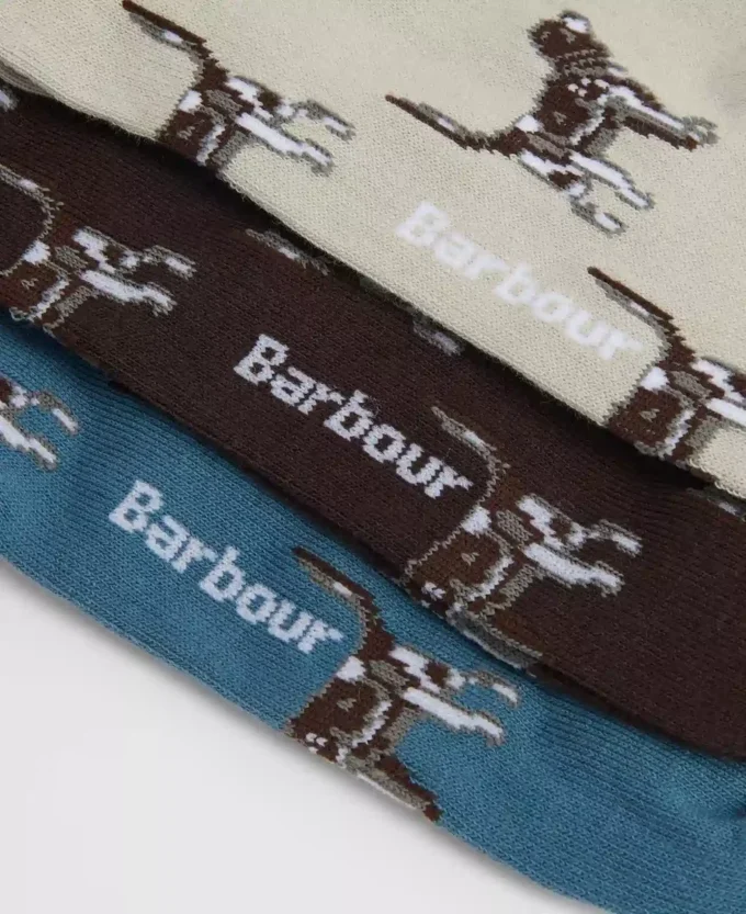 Pointer Dog Socks Gift Box Pointer Dog Socks Gift Box